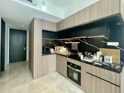 Irwell Hill Residences (D9), Apartment #460478831